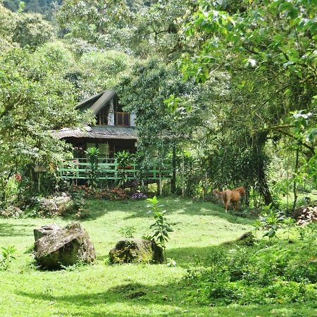 Mindo Eco Chalet Con Rio Y Cascada מראה חיצוני תמונה