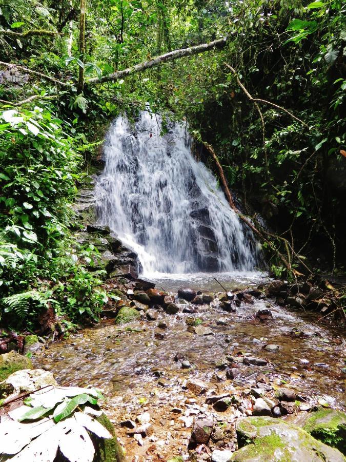 Mindo Eco Chalet Con Rio Y Cascada מראה חיצוני תמונה