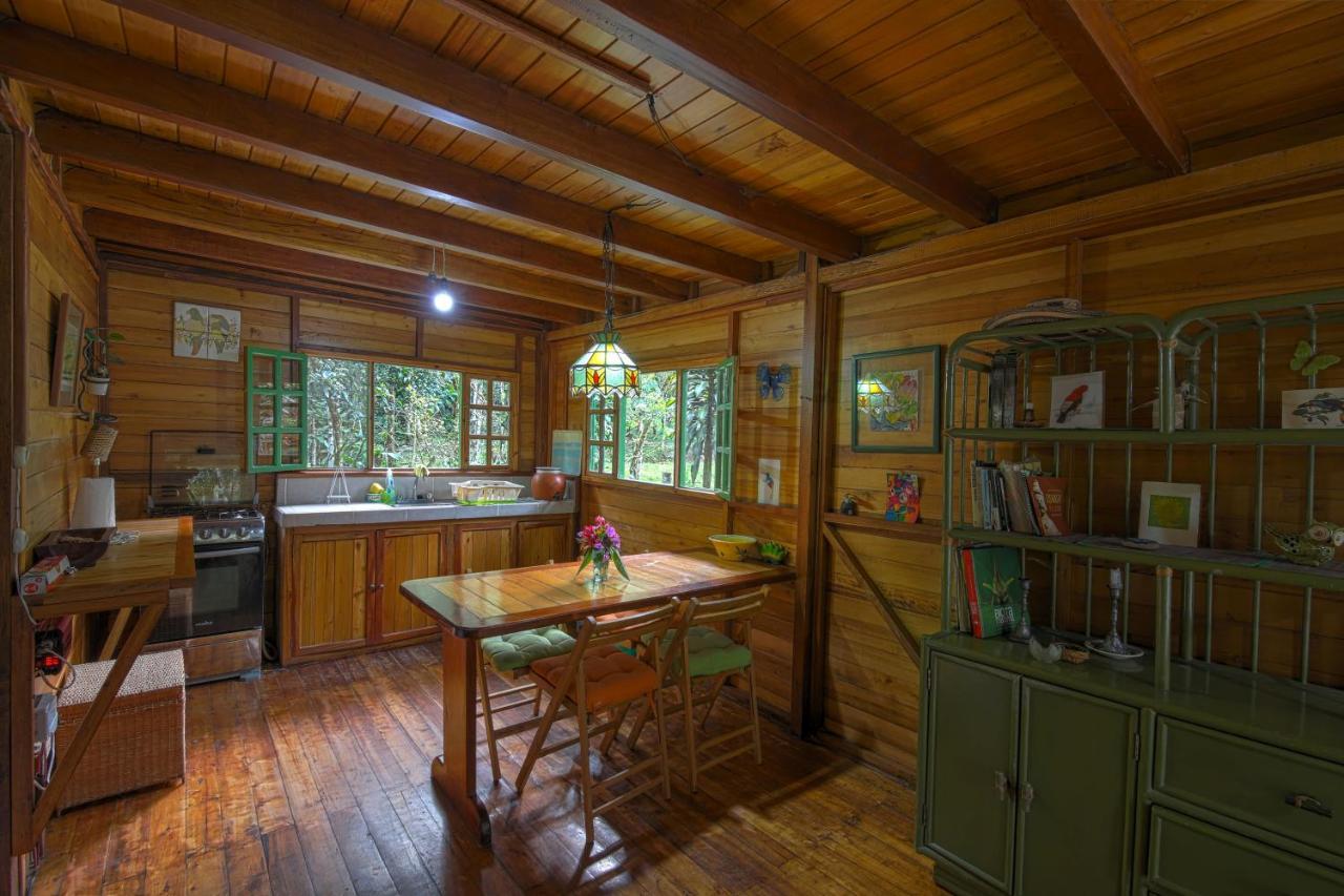 Mindo Eco Chalet Con Rio Y Cascada מראה חיצוני תמונה