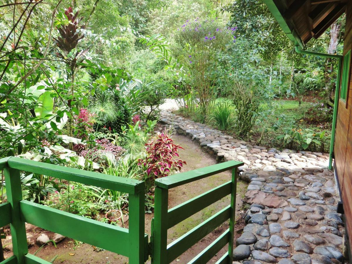 Mindo Eco Chalet Con Rio Y Cascada מראה חיצוני תמונה