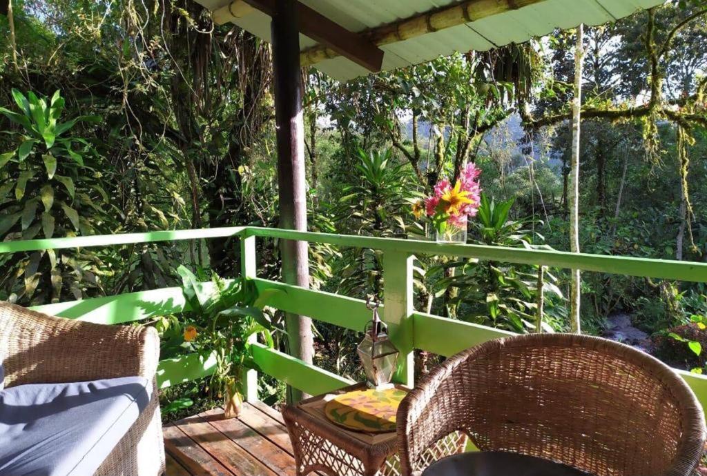 Mindo Eco Chalet Con Rio Y Cascada מראה חיצוני תמונה
