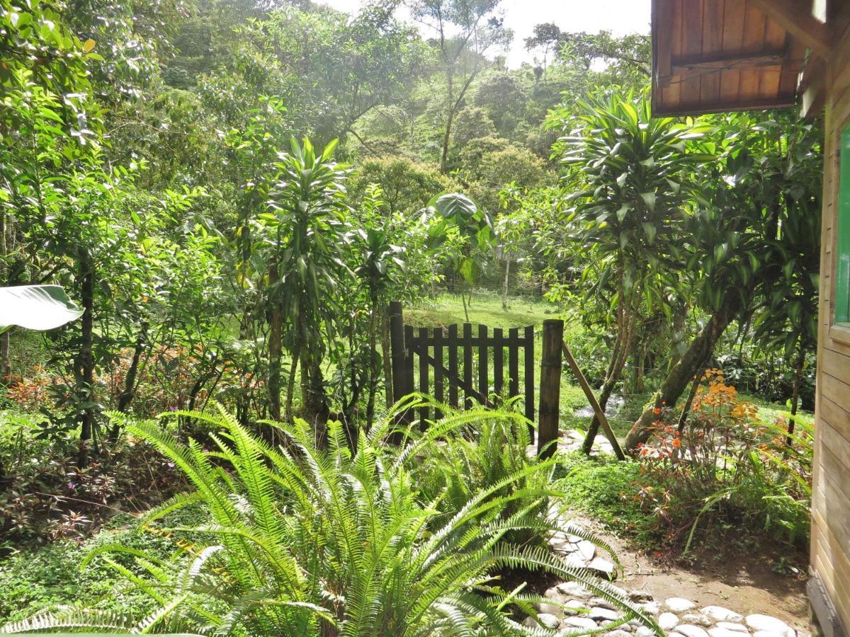 Mindo Eco Chalet Con Rio Y Cascada מראה חיצוני תמונה