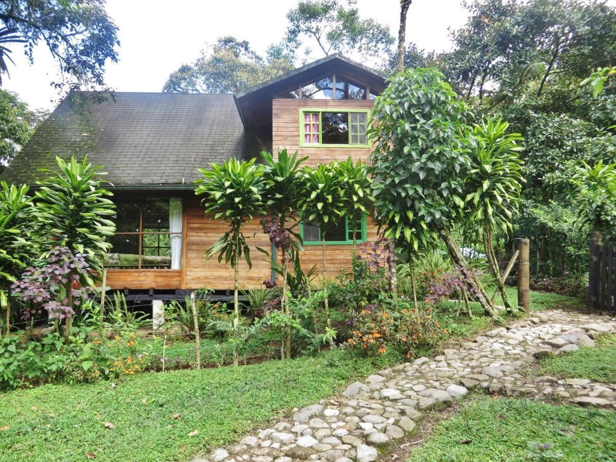 Mindo Eco Chalet Con Rio Y Cascada מראה חיצוני תמונה