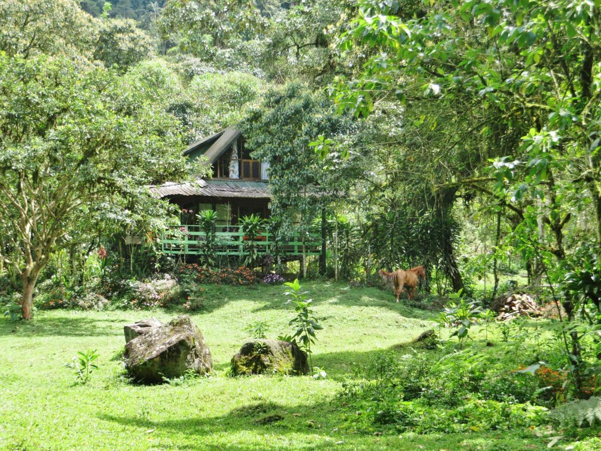 Mindo Eco Chalet Con Rio Y Cascada מראה חיצוני תמונה
